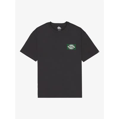 Quiksilver Ev Starfish Stamp T-shirt Met Korte Mouwen Zwart L Man