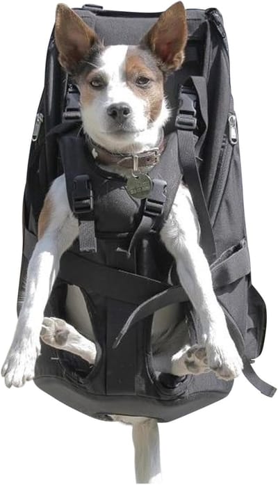 Hondenrugzak - Hondendrager - Actieve Uitjes - Gepatenteerd 4-drager systeem - Tot 18 kg - Zwart