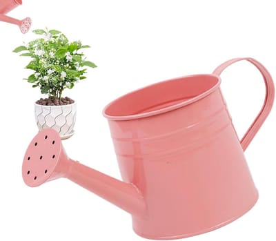 Kleine Gieter - Waterkoker Planten - Planten Water Geven - Roestbestendig Ijzer - 1 Liter - Roze