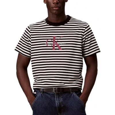 T-shirt Korte Mouw Calvin Klein Jeans Ss 20s Stripe Jersey Mon