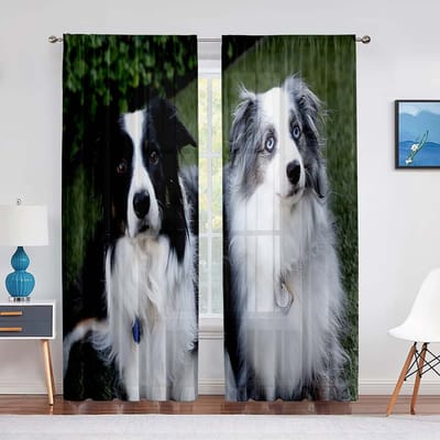 Hond Border Collie Puppy Paars Bloemen Sheer Voile Gordijn voor Woonkamer Schattig Huisdier Chiffon Tule Raamgordijn Slaapkamer Decoratie 1 PCS W100XH250cm&Grommet Top