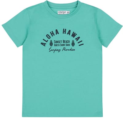 Dirkje Limited Edition T-shirt Aqua green