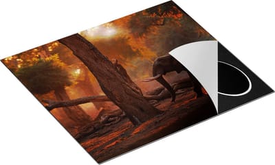 Chefcare Inductie Beschermer Olifant in het Bos - 60x50 cm - Afdekplaat Inductie - Kookplaat Beschermer - Inductie Mat