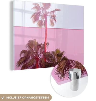 MuchoWow® Glasschilderij 40x30 cm - Schilderij acrylglas - Palm - Tuinposter - Roze - Foto op glas - Schilderijen
