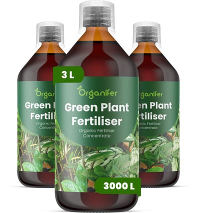 Vloeibare Meststof Voor Groene Plant 3 L Voor 3000 L - Npk 2-1-8 - Groene Bladplanten - Bladkleur - Bladtextuur - Wortelontwikkeling - Vochtregulati - Tropische Planten - Kamerplanten - Plantgezondheid - Organifer