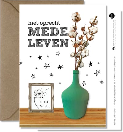 Tallies Cards - greeting  - wenskaarten - Medeleven - Plant  - Set van 4 ansichtkaarten - condoleance - deelneming - gecondoleerd - afscheid - Inclusief kraft envelop - 100% Duurzaam