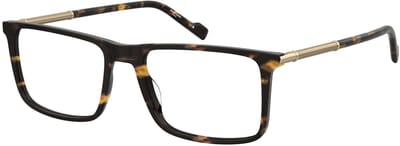 Pierre Cardin P.C. 6291 Havana 58/18/150 MAN Brilmonturen