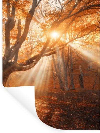 Muurstickers - Sticker Folie - Boom - Natuur - Herfst - 30x40 cm - Plakfolie - Muurstickers Kinderkamer - Zelfklevend Behang - Zelfklevend behangpapier - Stickerfolie