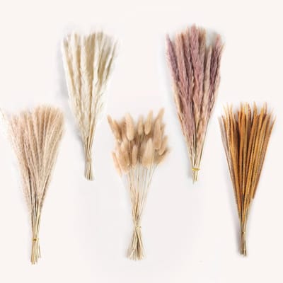 Famanu – Pampasgras, gedroogd, set van 130 stuks, natuurlijke pluizige rietbloemen, vaasdecoratie, boho stijl, bruiloft en woonkamer