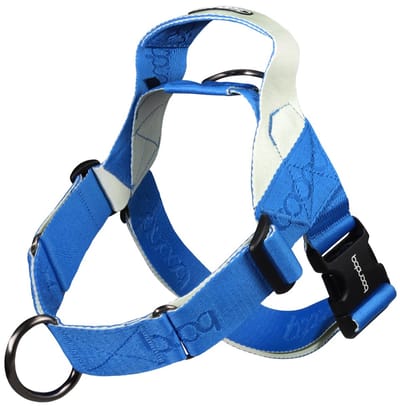 Boondog Hondentuig 0109 - Anti Trek - 2 Bevestigingspunten - Met Handvat - Verstelbaar - Comfortabel Harnas - Cream/Blue - Maat M