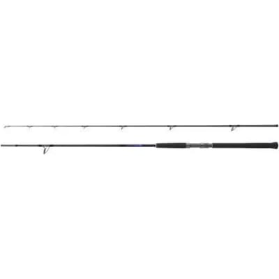 Shimano Fishing Bb S96h Spinhengel Zilver 2.90 m / 85 g
