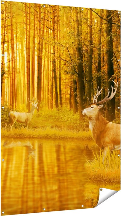 Gards Tuinposter Twee Herten in het Bos bij het Water - 120x180 cm - Tuindoek - Tuindecoratie - Wanddecoratie buiten - Tuinschilderij