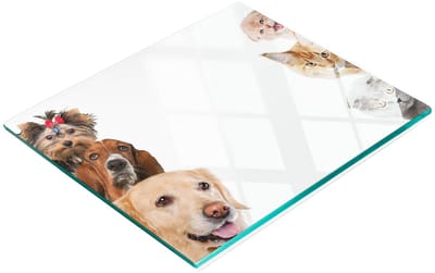 Glazen snijplank met decoratieve afbeeldingen van honden en katten, 60x52 cm