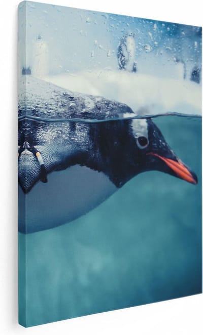Artaza Canvas Schilderij Zwemmende Pinguïn - 30x40 cm - Klein - Wanddecoratie Vogels - Muurdecoratie Dieren - Kamer Accessoires