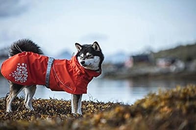 Waterdichte hondenjas voor honden - ECO Monsoon Coat in rozenbottelroze, maat 20,3 cm