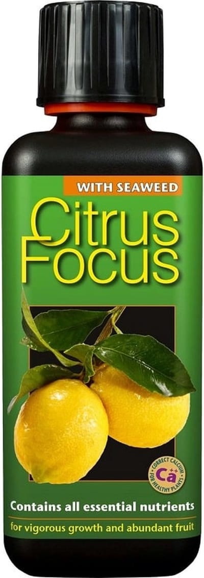 GROWTH TECHNOLOGY CITRUS FOCUS 300 ML
