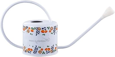 Tuingieter met tuit - Waterkannetje - Planten water geven - Roestvrij staal - 1.3 Liter - Zilver