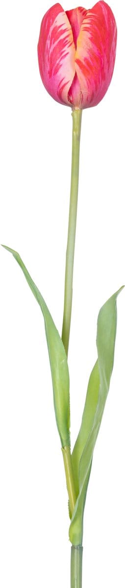 Easyplants | Kunstbloem Franse Tulp 60 cm rood | Zijde | Nepbloemen | rood | Onderhoudsvrij | Kant-en-klaar