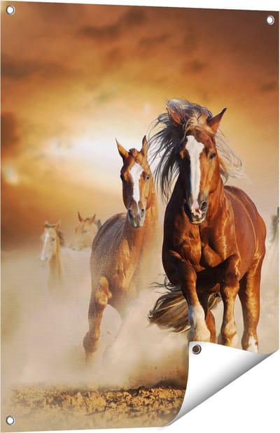Gards Tuinposter Wilde Paarden in het Zand - 60x80 cm - Tuindoek - Tuindecoratie - Wanddecoratie buiten - Tuinschilderij
