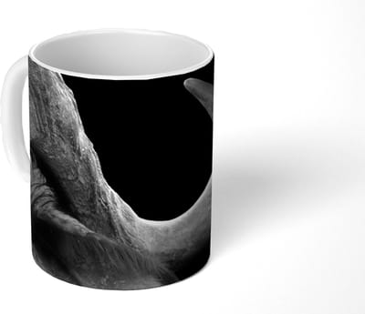 Mok - Koffiemok - Buffalo - Dieren - Zwart - Wit - Mokken - 350 ML - Beker - Koffiemokken - Theemok