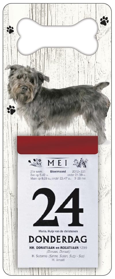 Scheurkalender 2027 Hond: Imaal Terrier