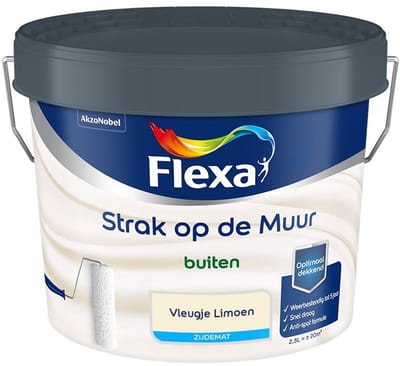 Flexa - Strak Op De Muur Buiten Zijdemat - Vleugje Limoen - Mengverf - 2,5 L