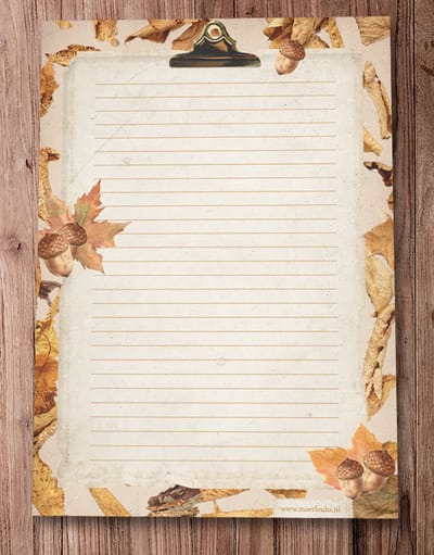 Briefpapier - 24 vellen A4 formaat - Leaves - Meer Leuks - Postpapier Blaadjes / Herfst