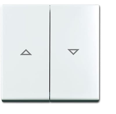 ABB Busch-Jaeger Balance SI Bedieningselement/Centrale Plaat Schakelmateriaal - 2CKA001713A0202 - E377Y