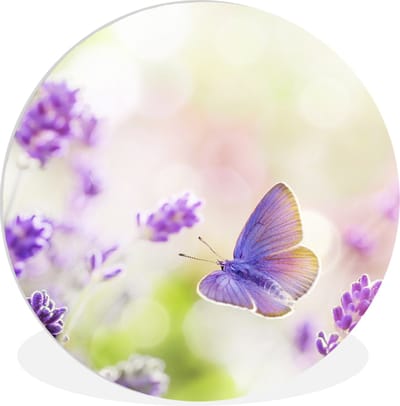 WallCircle - Wandcirkel 30x30 - Lavendel - Vlinder - Bloemen - Ronde schilderijen woonkamer - Wandbord rond - Muurdecoratie cirkel - Kamer decoratie binnen - Wanddecoratie muurcirkel - Woonaccessoires