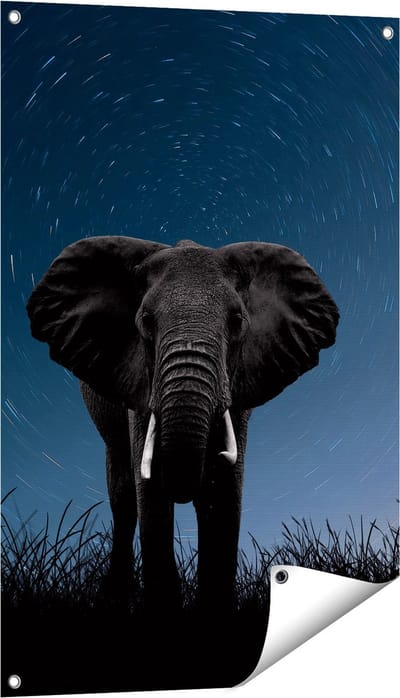 Gards Tuinposter Olifant Omringd met Sterren - 60x90 cm - Tuindoek - Tuindecoratie - Wanddecoratie buiten - Tuinschilderij