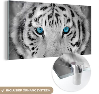 MuchoWow® Glasschilderij 40x20 cm - Schilderij acrylglas - Tijger - Winter - Dieren - Foto op glas - Schilderijen
