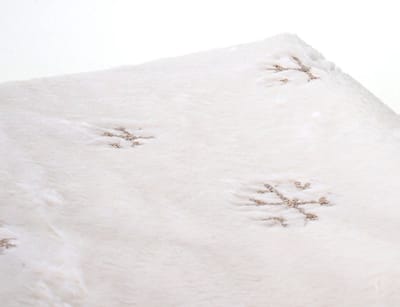 Deken sneeuw, sprei gezellig deken deken bank, pluizig wit pailletten 150x120cm