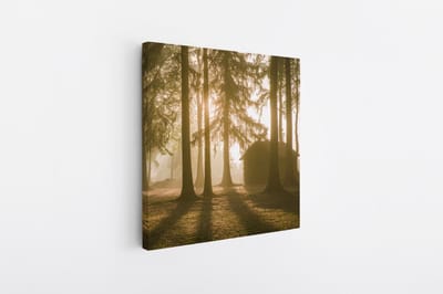 Saammp Canvas Schilderij - Huis - Grote Bomen - Landschap - Natuur - 20x20 - Foto op canvas - Wanddecoratie - Muurdecoratie Woonkamer - Slaapkamer decoratie - Canvas Print