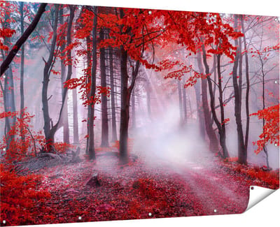 Gards Tuinposter Rood Bos met Bomen - 180x120 cm - Tuindoek - Tuindecoratie - Wanddecoratie buiten - Tuinschilderij