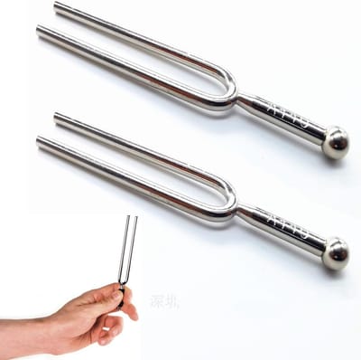 2 stuks stemvork, stemvork inclusief A440 Hz stemvork van roestvrij staal, reinigingsdoek en zwarte opbergtas, stemvorkset voor muziekstandaardinstrumenten, viool, gitaren, tunerapparaten