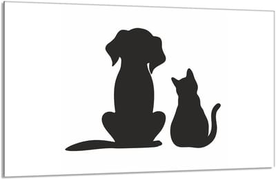 TMK ArtDeko - Glasbeschermplaat - 80x52 cm - Veelkleurig - Snikplaat