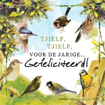 Rien Poortvliet Wenskaart TJIELP, TJIELP, VOOR DE JARIGE… Gefeliciteerd! – Tuinvogels – 13,5 x 13,5 cm