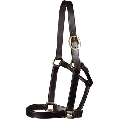 Halster voor paarden Premier Equine Yearling