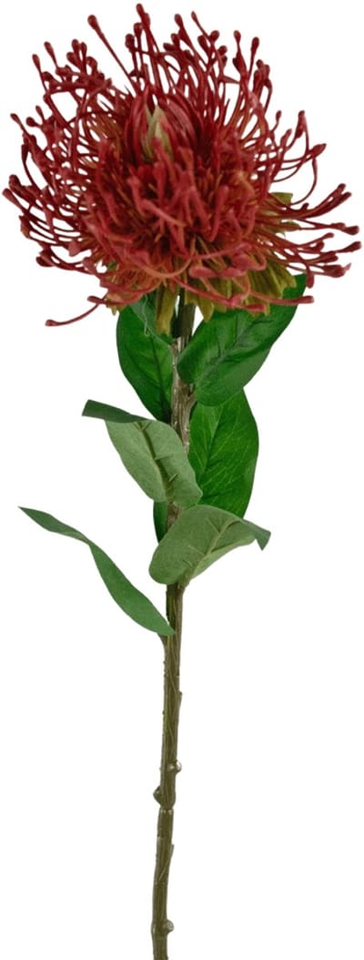 Easyplants | Kunstbloem Protea 73 cm rood | Zijde | Nepbloemen | rood | Onderhoudsvrij | Kant-en-klaar