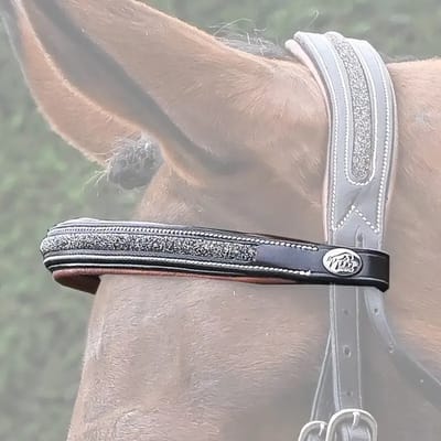 Frontaal voor paard Jump'In Crystal