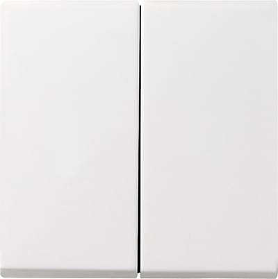 Gira Systeem 55 Besturingselement/Centrale plaat Schakelmateriaal - 029527 - E29DU