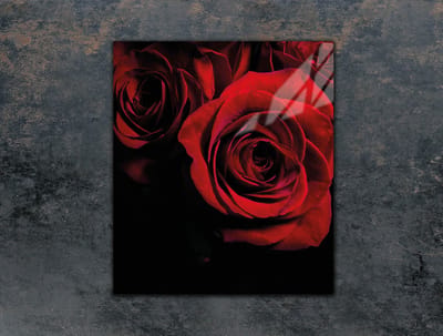 TMK ArtDeko - Snijplank - Gehard Glas - 45x52 cm - Roos