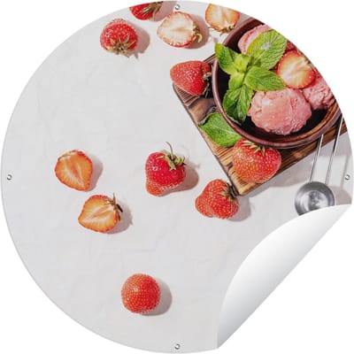 Tuincirkel Aardbei - Fruit - Kruiden - IJs - IJsboltang - 60x60 cm - Ronde Tuinposter - Buiten