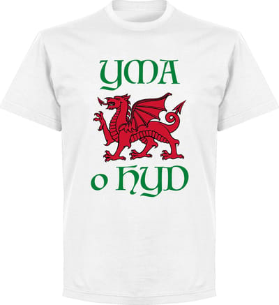 Wales Yma O Hyd T-Shirt - Wit - XS