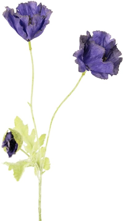 Easyplants | Kunstbloem Poppy 73 cm paars | Zijde | Nepbloemen | paars | Onderhoudsvrij | Kant-en-klaar