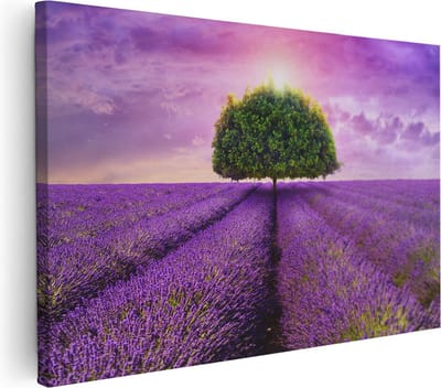 Artaza Canvas Schilderij Lavendelveld - 30x20 cm - Klein - Wanddecoratie Boom - Muurdecoratie Natuur - Kamer Accessoires Landschap - Paars
