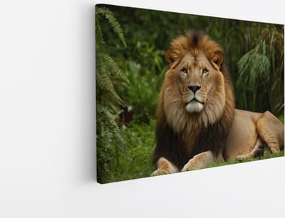 Saammp Canvas Schilderij - Leeuw in de Jungle - Natuur - Dieren - 45x30 - Foto op canvas - Wanddecoratie - Muurdecoratie Woonkamer - Slaapkamer decoratie - Canvas Print