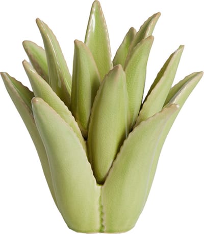 Light&living Theelicht Ø21x21 cm CACTUS keramiek licht groen