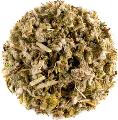 Malrove Blad Thee Kruid - White Horehound