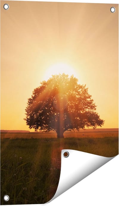 Gards Tuinposter Zonsondergang Achter een Grote Boom - 40x60 cm - Tuindoek - Tuindecoratie - Wanddecoratie buiten - Tuinschilderij